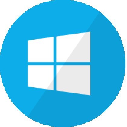 Microsoft OS